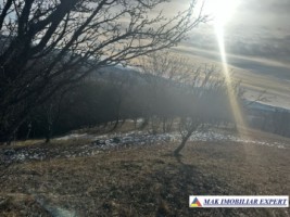teren-8040-mp-intra-extravilan-de-vanzare-in-mioarele-matau-arges-0