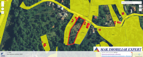 teren-8040-mp-intra-extravilan-de-vanzare-in-mioarele-matau-arges-9