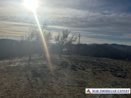 teren-8040-mp-intra-extravilan-de-vanzare-in-mioarele-matau-arges-6