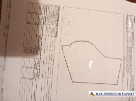 teren-8040-mp-intra-extravilan-de-vanzare-in-mioarele-matau-arges-8
