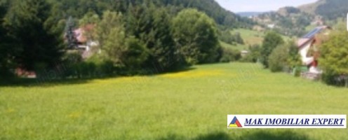 teren-intra-extravilan-3630-mp-6019-mp-de-vanzare-in-valea-cheii-dambovicioara-arges-3