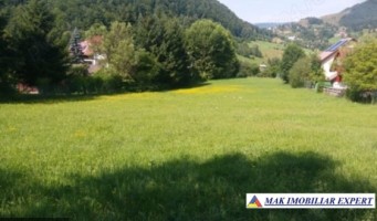 teren-intra-extravilan-3630-mp-6019-mp-de-vanzare-in-valea-cheii-dambovicioara-arges-4