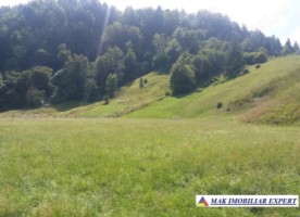 teren-intra-extravilan-3630-mp-6019-mp-de-vanzare-in-valea-cheii-dambovicioara-arges-5