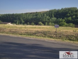 vanzare-teren-intravilan-in-ciugud-teleac-1