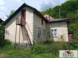 casa-de-vanzare-in-trampoiele-zlatna-1
