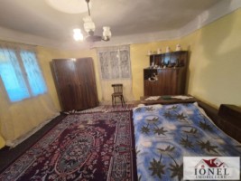 casa-de-vanzare-in-trampoiele-zlatna-6