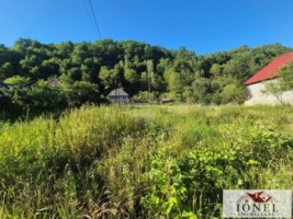casa-de-vanzare-in-trampoiele-zlatna-13