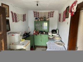 casa-musceleana-stil-conac-3-camere-teren-4000-mp-de-vanzare-valea-mare-pravat-arges-4