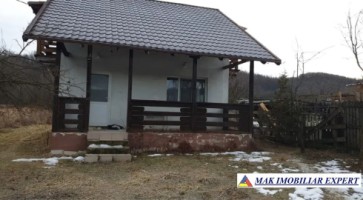 vand-vila-p-e-3-camere-casa-de-vacanta-teren-11000-mp-in-vulturesti-arges