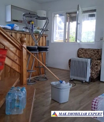 vand-vila-p-e-3-camere-casa-de-vacanta-teren-11000-mp-in-vulturesti-arges-5
