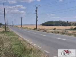 vanzare-teren-7300-mp-in-vintu-de-jos-1