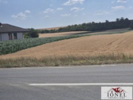 vanzare-teren-7300-mp-in-vintu-de-jos-2