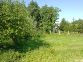 intravilan-572-mp-loc-de-casa-zona-padure-baicoi-prahova-2