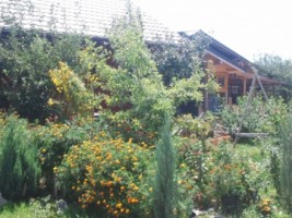 intravilan-572-mp-loc-de-casa-zona-padure-baicoi-prahova-6