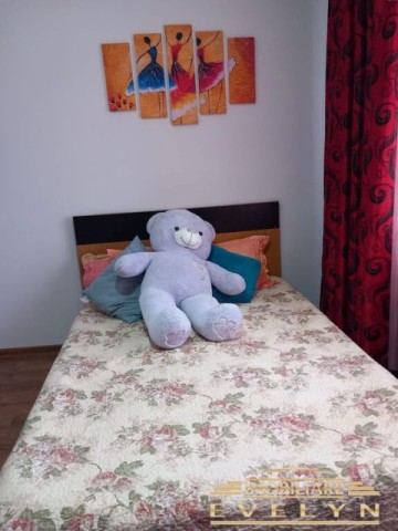 vanzare-apartament-2-camere-decomandat-zona-primaverii-scoala-nr-12-5