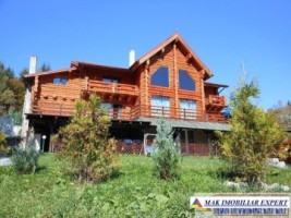 vila-de-lux-11-camere-de-vanzare-in-podul-dambovitei-dambovicioara-arges