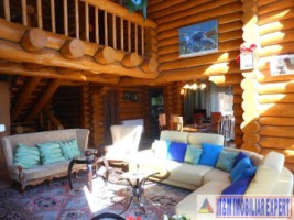 vila-de-lux-11-camere-de-vanzare-in-podul-dambovitei-dambovicioara-arges-2