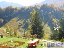 vila-de-lux-11-camere-de-vanzare-in-podul-dambovitei-dambovicioara-arges-14