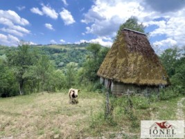 casa-de-vanzare-in-muntii-apuseni-cu-17596-mp-teren