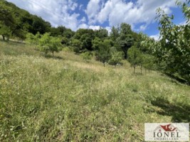 casa-de-vanzare-in-muntii-apuseni-cu-17596-mp-teren-10