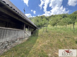 casa-de-vanzare-in-muntii-apuseni-cu-17596-mp-teren-22