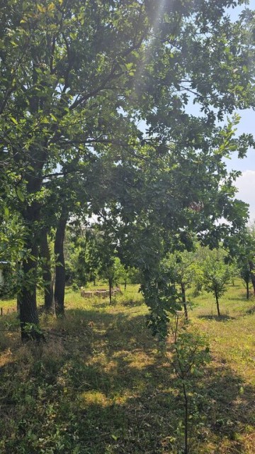 intravilan-572-mp-loc-de-casa-zona-padure-baicoi-prahova-15