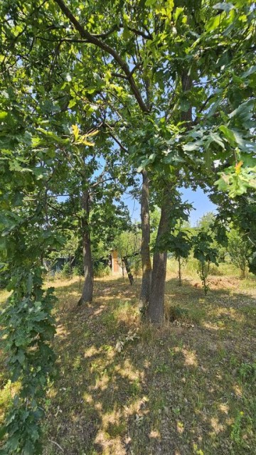 intravilan-572-mp-loc-de-casa-zona-padure-baicoi-prahova-11