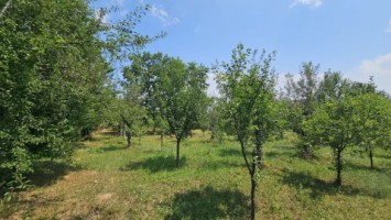 intravilan-572-mp-loc-de-casa-zona-padure-baicoi-prahova-19