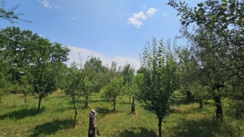 intravilan-572-mp-loc-de-casa-zona-padure-baicoi-prahova-20