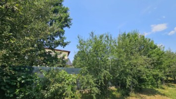 intravilan-572-mp-loc-de-casa-zona-padure-baicoi-prahova-21