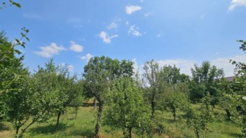 intravilan-572-mp-loc-de-casa-zona-padure-baicoi-prahova-22