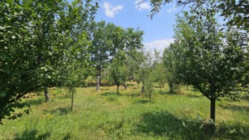intravilan-572-mp-loc-de-casa-zona-padure-baicoi-prahova-23