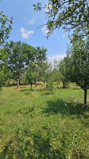 intravilan-572-mp-loc-de-casa-zona-padure-baicoi-prahova-24