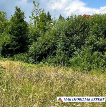 vand-teren-5469-mp-intravilan-in-podu-dambovitei-dambovicioara-arges-2
