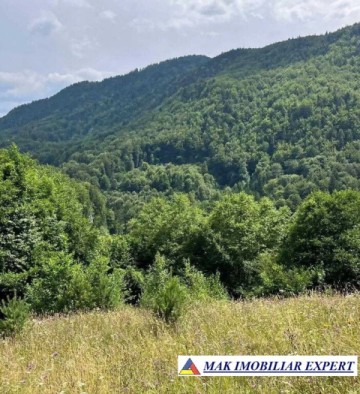 vand-teren-5469-mp-intravilan-in-podu-dambovitei-dambovicioara-arges-10