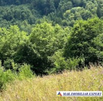 vand-teren-5469-mp-intravilan-in-podu-dambovitei-dambovicioara-arges-7