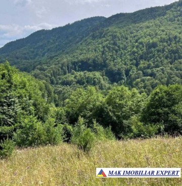 vand-teren-5469-mp-intravilan-in-podu-dambovitei-dambovicioara-arges-8