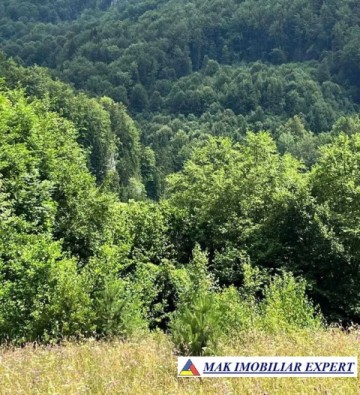 vand-teren-5469-mp-intravilan-in-podu-dambovitei-dambovicioara-arges-11