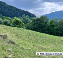 vand-teren-5469-mp-intravilan-in-podu-dambovitei-dambovicioara-arges