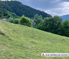 vand-teren-5469-mp-intravilan-in-podu-dambovitei-dambovicioara-arges-14