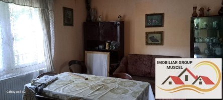 vila-demisolparter-si-etaj-compusa-din-6-camere-campulung-muscel-centru-pret-140000-euro-negociabil-6