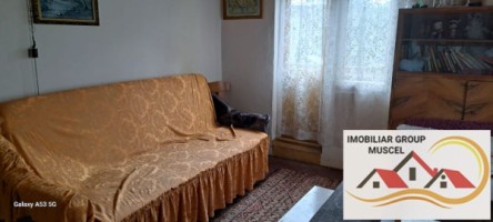 vila-demisolparter-si-etaj-compusa-din-6-camere-campulung-muscel-centru-pret-140000-euro-negociabil-16
