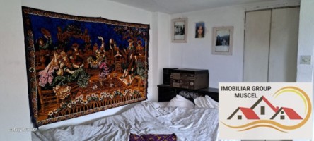 vila-demisolparter-si-etaj-compusa-din-6-camere-campulung-muscel-centru-pret-140000-euro-negociabil-22