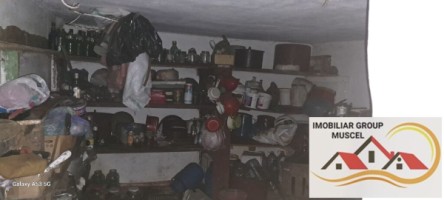 vila-demisolparter-si-etaj-compusa-din-6-camere-campulung-muscel-centru-pret-140000-euro-negociabil-28