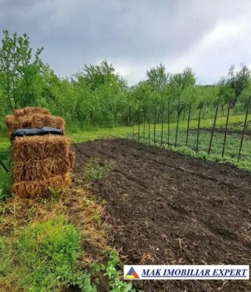 vand-teren-3520-mp-intra-extravilan-in-draghici-mihaesti-arges-2