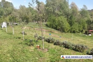 vand-teren-3520-mp-intra-extravilan-in-draghici-mihaesti-arges-6