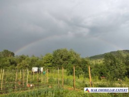 vand-teren-3520-mp-intra-extravilan-in-draghici-mihaesti-arges-5