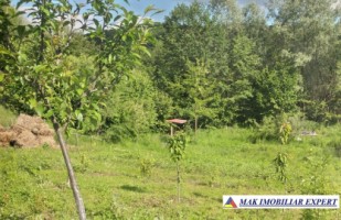 vand-teren-3520-mp-intra-extravilan-in-draghici-mihaesti-arges-3