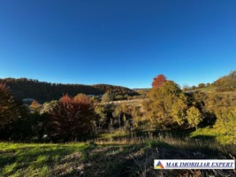 vand-casa-2-camere-teren-5000-mp-in-valea-mare-pravat-namaiesti-arges-12