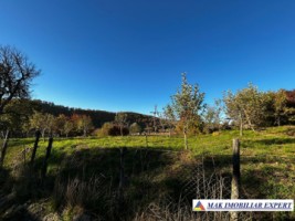 vand-casa-2-camere-teren-5000-mp-in-valea-mare-pravat-namaiesti-arges-13